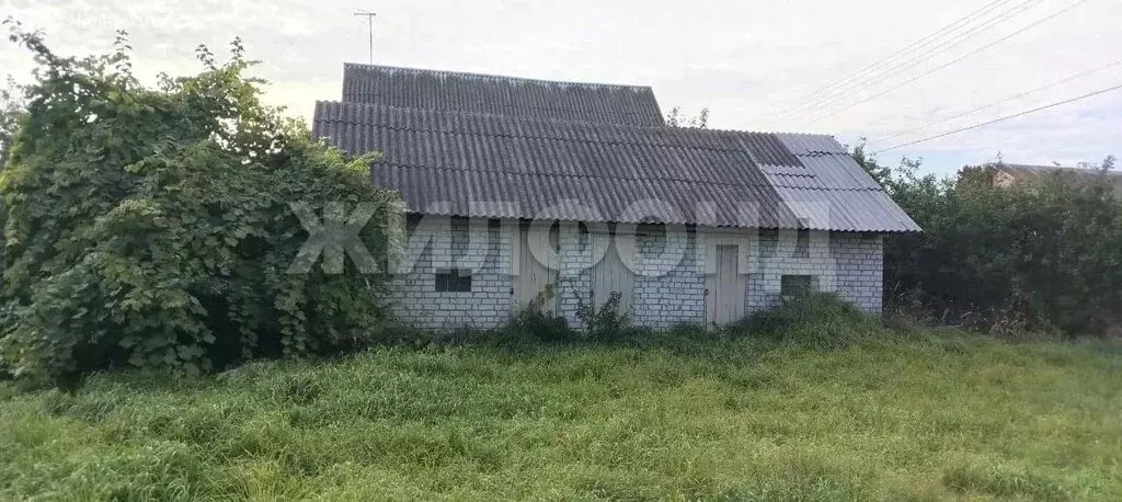 Участок в Брянская область, рабочий посёлок Погар, Южная улица (10 м) - Фото 1