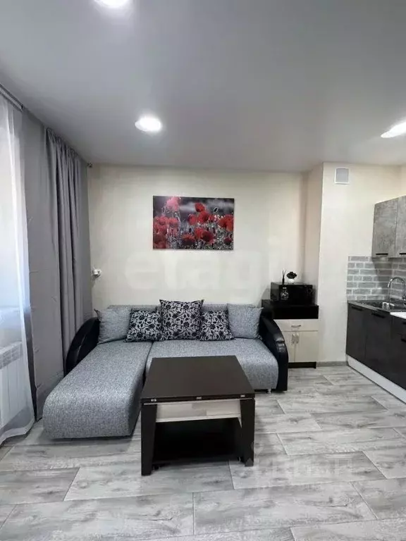 Студия Ямало-Ненецкий АО, Новый Уренгой Дружба мкр, 5/2 (25.0 м) - Фото 2