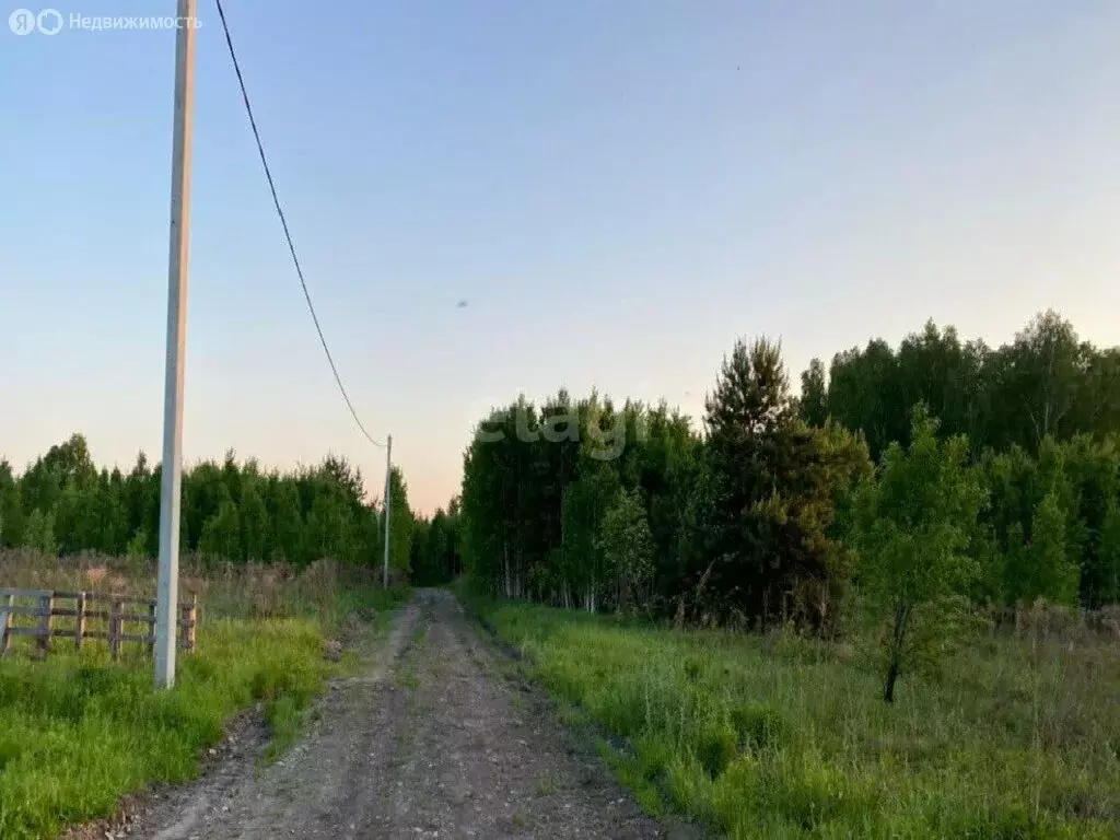 Участок в Криводановский сельсовет, садовое товарищество Весна (20 м) - Фото 1