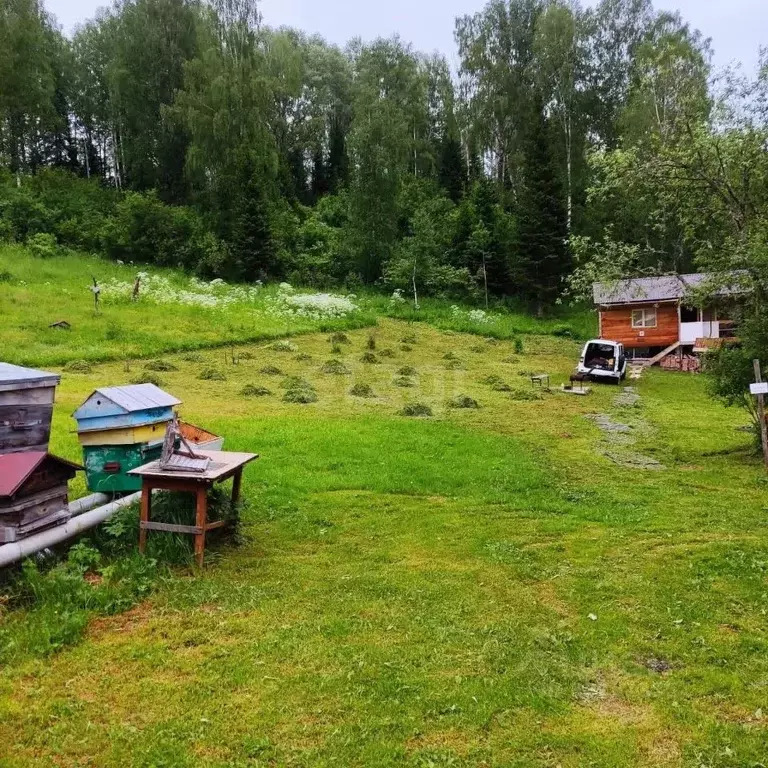 Участок в Алтай, Чойский район, Паспаульское с/пос, с. Сугул  (60.0 ... - Фото 1