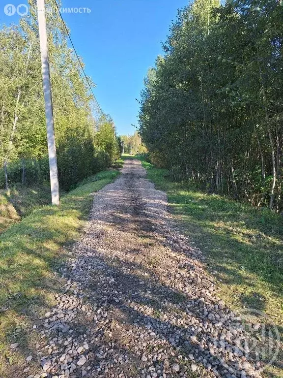 Участок в Кусинское сельское поселение, садоводческий массив ... - Фото 2