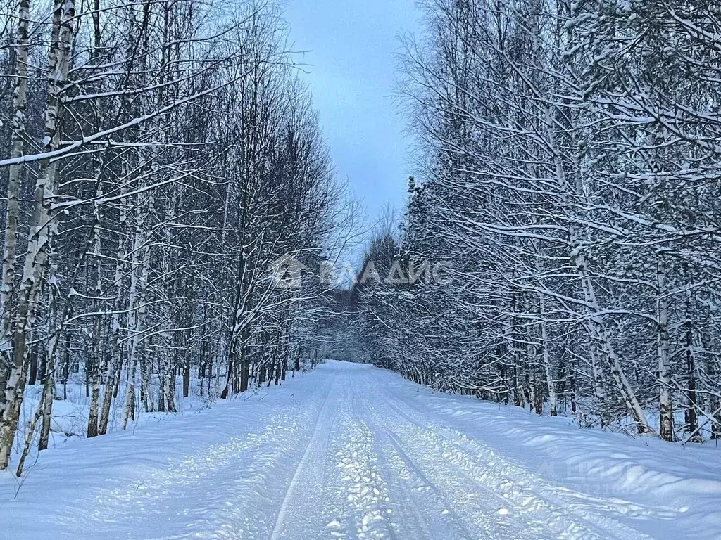 Участок в Рязанская область, Клепиковский район, Ненашкинское с/пос, ... - Фото 0