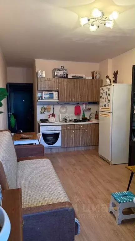 Студия Санкт-Петербург просп. Ветеранов, 169к2 (23.5 м) - Фото 1