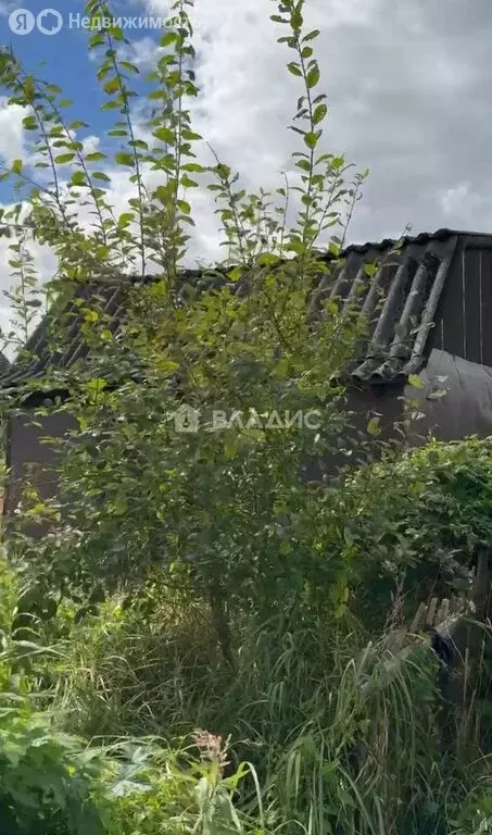 Участок в Калининград, СНТ Чайка, Дорожный проезд (5.29 м) - Фото 1