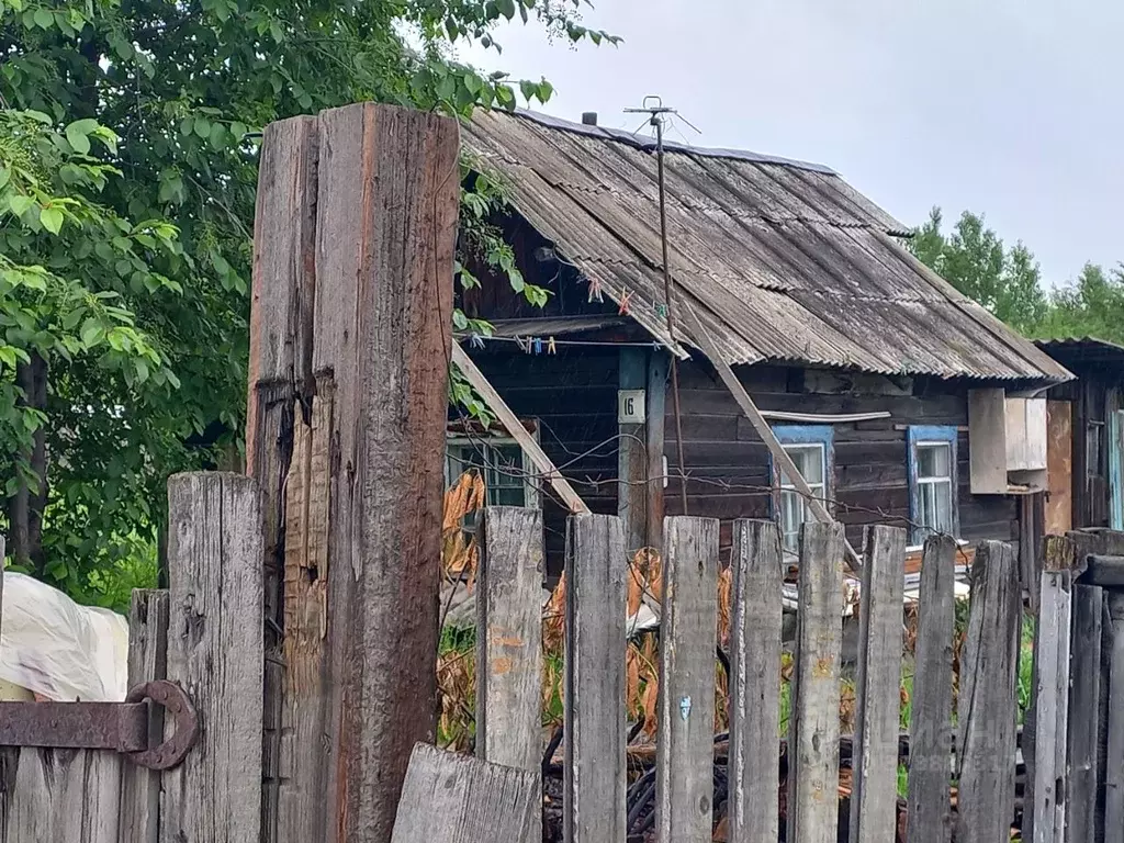 Дом в Амурская область, Сковородино Ключевая ул., 16 (24 м) - Фото 1