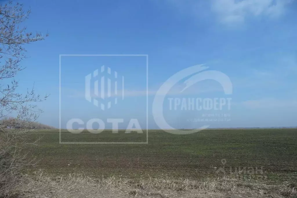 Участок в Воронежская область, Новоусманский район, с. Рогачевка  ... - Фото 1