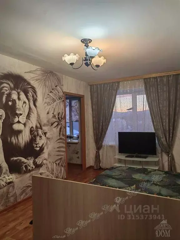 1-к кв. Еврейская автономная область, Биробиджан пос. Дальсельмаш, ул. ... - Фото 2