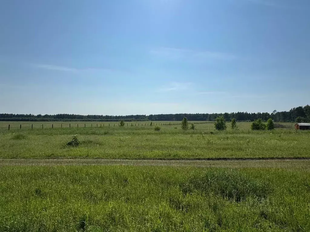 Участок в Красноярский край, Емельяново городское поселение  (2.5 ... - Фото 1
