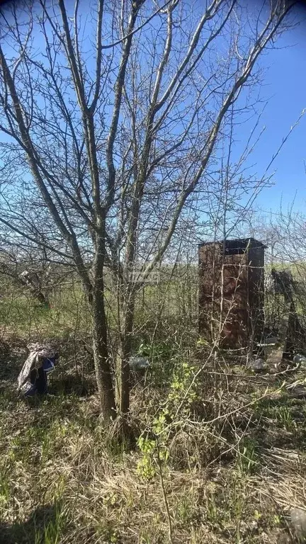 Участок в Тамбовская область, Тамбовский муниципальный округ, Сурава ... - Фото 2