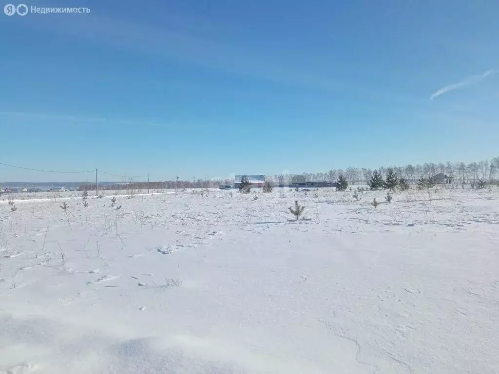 Участок в Ульяновск, коттеджный посёлок Дружба-2 (15 м) - Фото 1