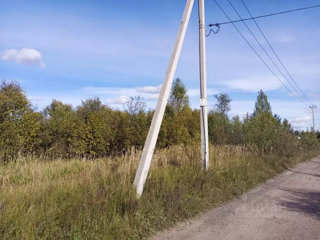 Участок в Ленинградская область, Всеволожский район, Романовское ... - Фото 1