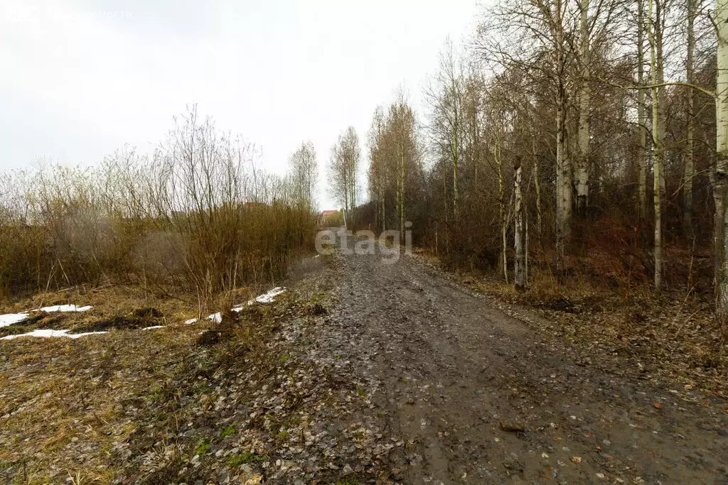 Участок в Тюменский район, деревня Насекина (8.3 м) - Фото 1