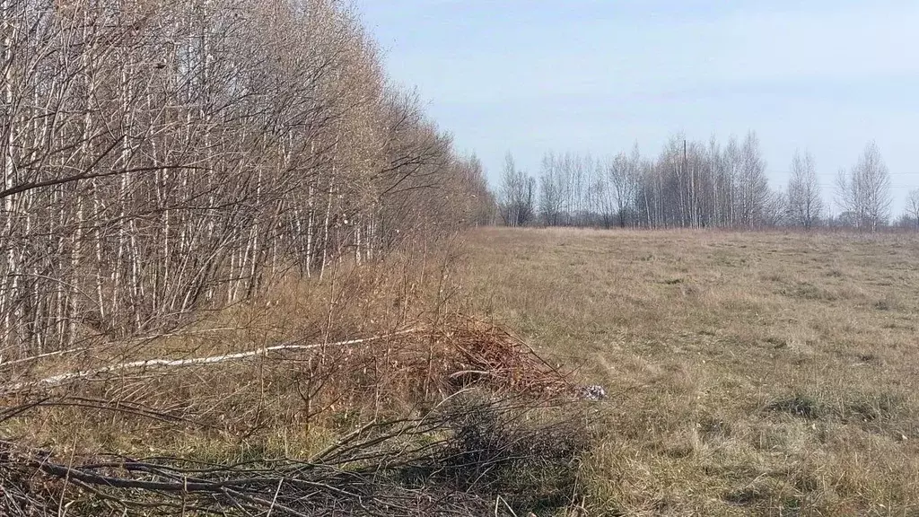 Участок в Хабаровский край, Хабаровский район, Осиновореченское с/пос, ... - Фото 2