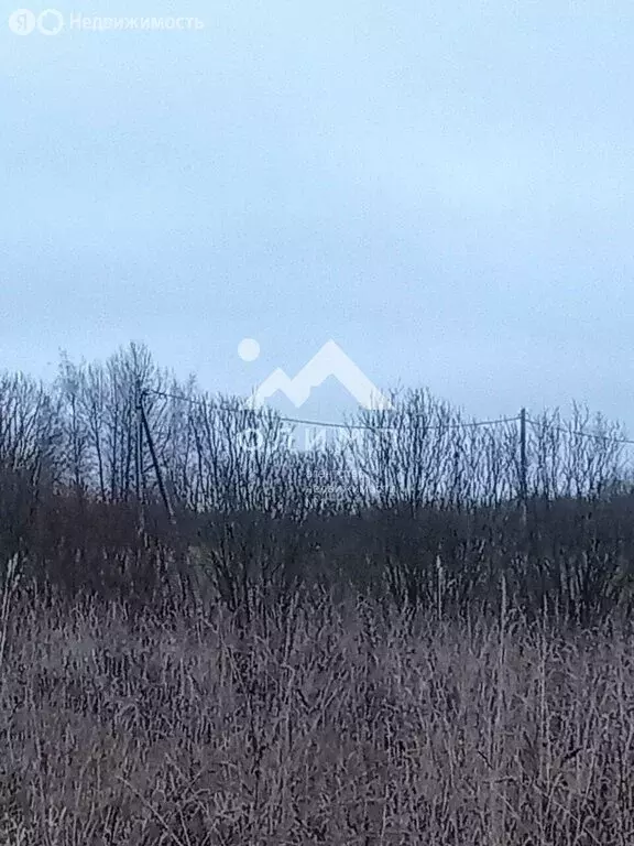 Участок в Ярославский муниципальный округ, деревня Дорожаево (10 м) - Фото 2