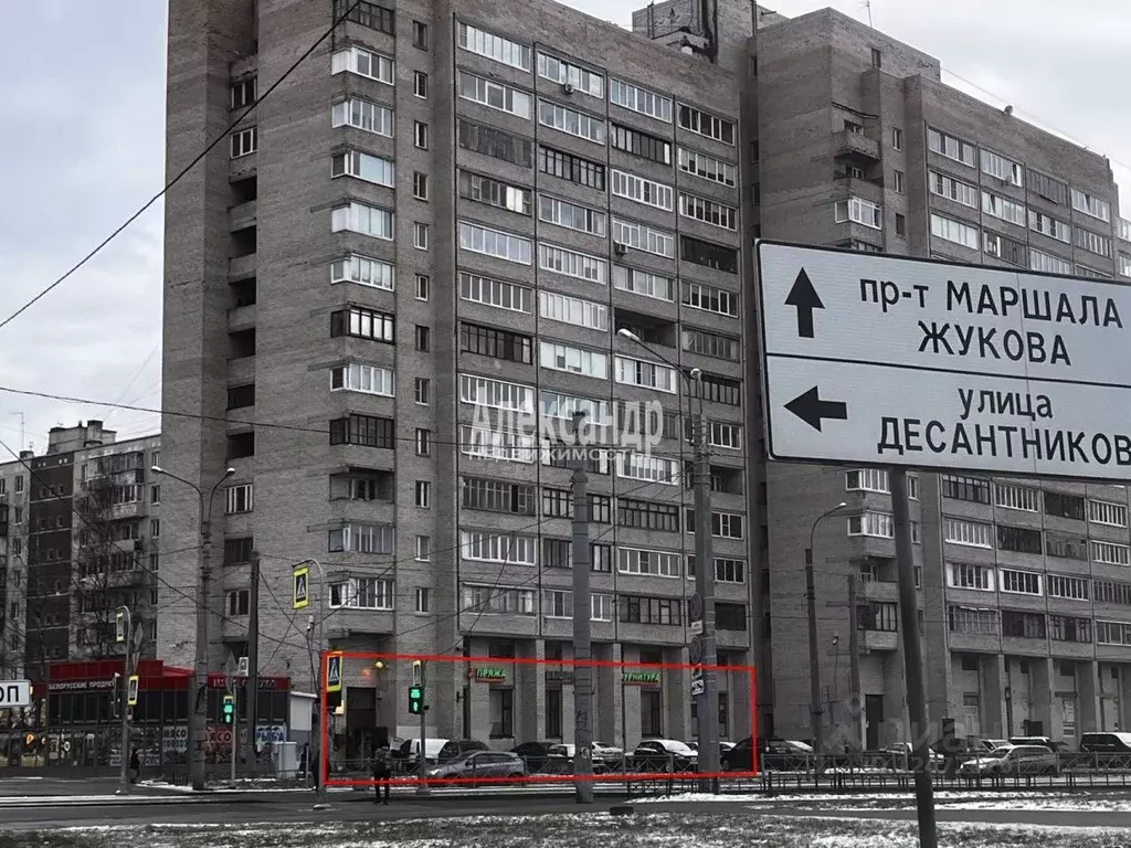 Десантников 24кв42. Ул десантников 24. Улица десантников 24 санкт-петербург. Ул десантников 24. Магазин колос воронеж моисеева.