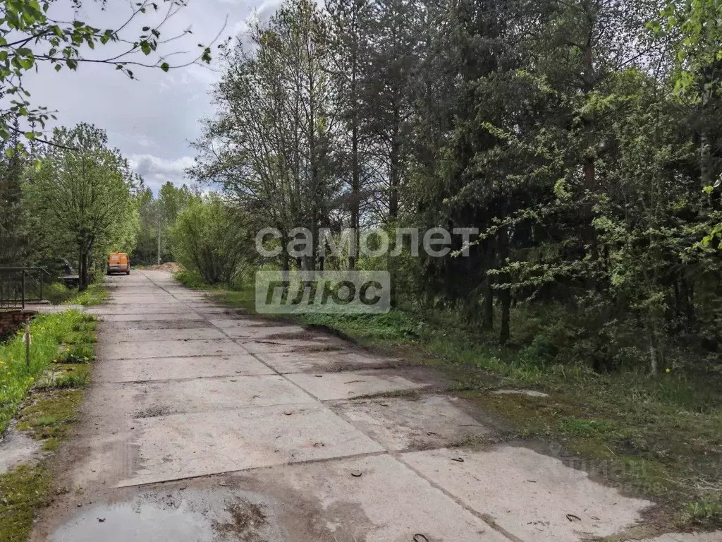 Участок в Ленинградская область, Никольское Тосненский район, Южная ... - Фото 1