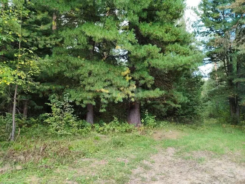 Участок в Томская область, Томский район, д. Большое Протопопово ул. ... - Фото 1