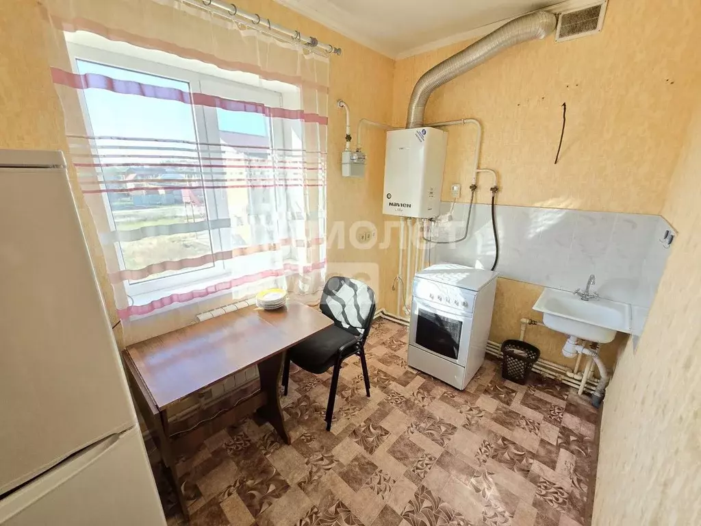 1-к кв. Краснодарский край, Тимашевский район, Медведовское с/пос, ... - Фото 2