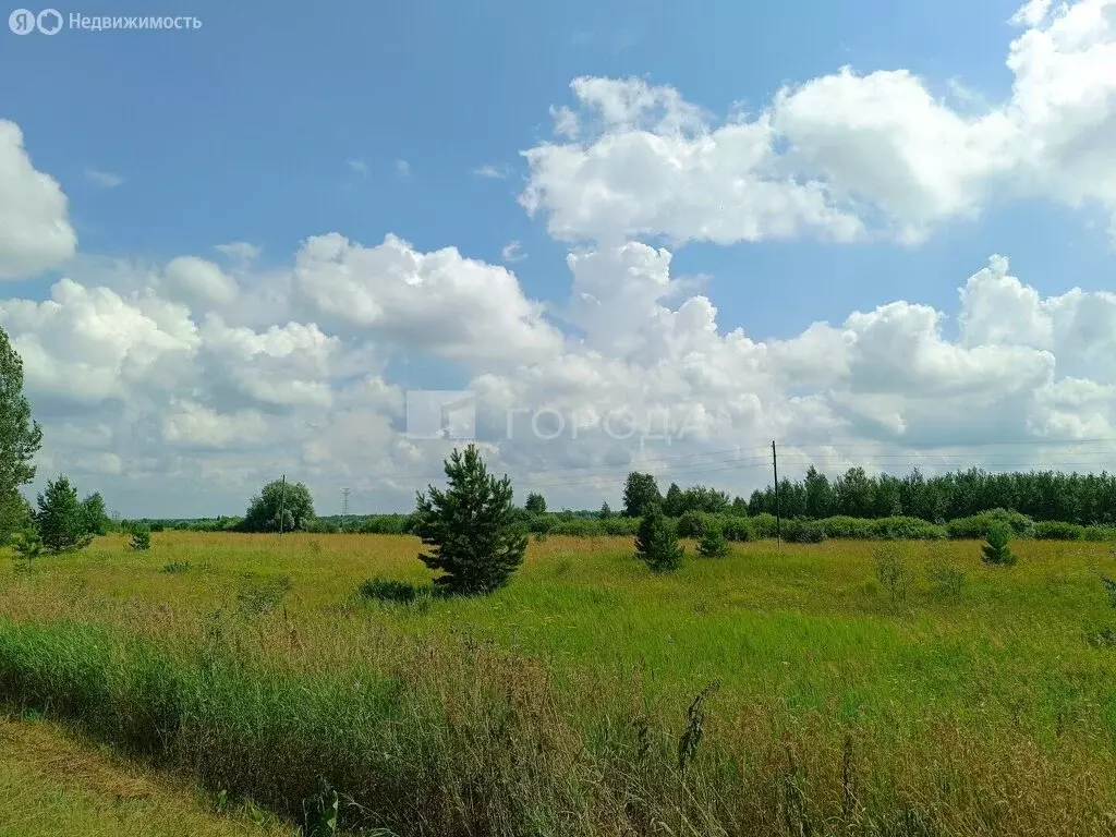 Участок в Колыванский район, село Скала (3745.2 м) - Фото 1