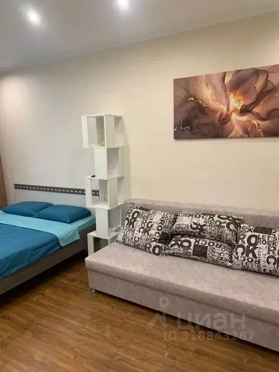 1-к кв. Приморский край, Владивосток ул. Башидзе, 16 (30.0 м) - Фото 0
