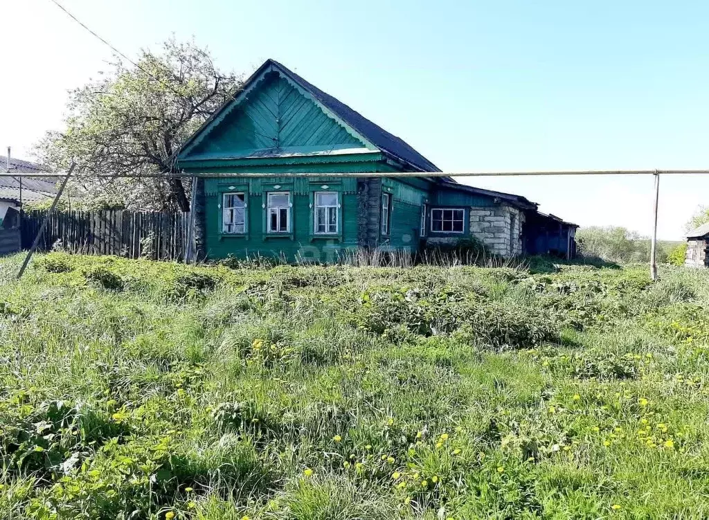 Дом в Мордовия, Ромодановский район, с. Алтары Советская ул., 113 (38 ... - Фото 0