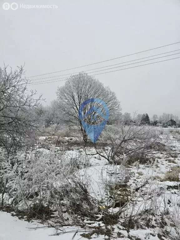 Участок в деревня Иванцево, Зелёная улица, 7 (28 м) - Фото 0