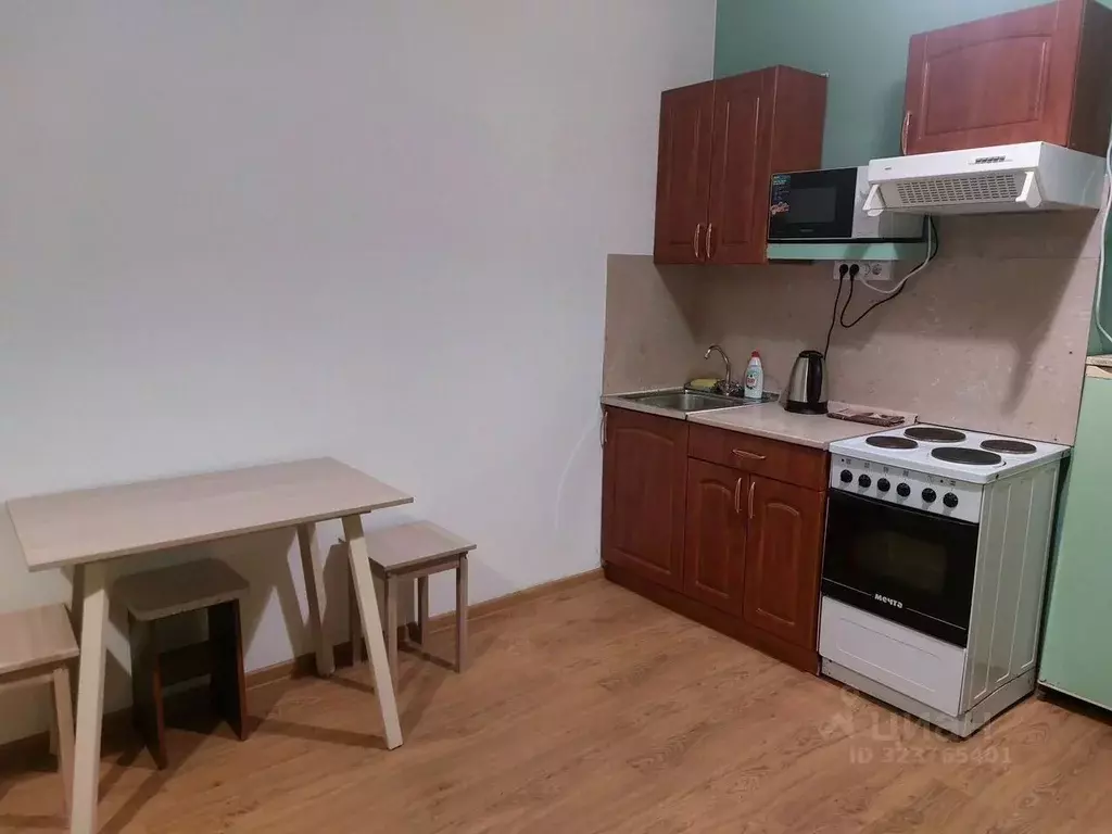 Студия Псковская область, Псковский район, Завеличенская волость, д. ... - Фото 2