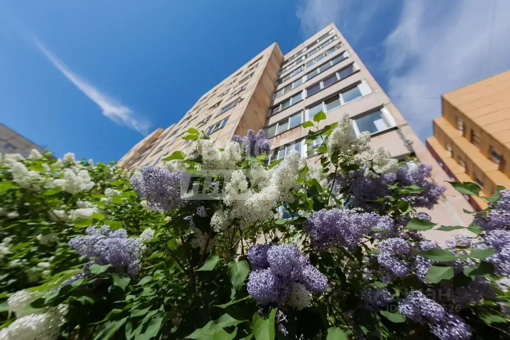 3-к кв. Карелия, Петрозаводск Зеленая ул., 10 (67.2 м) - Фото 1