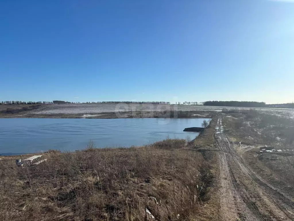 Участок в Тульская область, Ясногорский район, Теляковское с/пос, д. ... - Фото 1