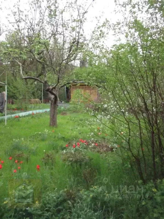 Участок в Севастополь Балаклавский муниципальный округ, с. Морозовка, ... - Фото 1