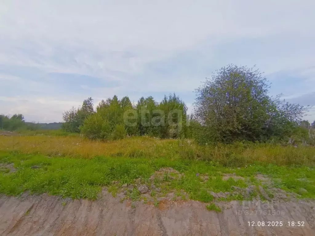 Участок в Свердловская область, Нижний Тагил ул. 5-я Лазурная, 4 (10.0 ... - Фото 1