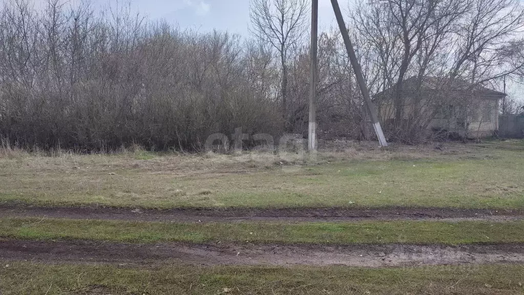 Участок в Воронежская область, Грибановский район, с. Листопадовка ... - Фото 1