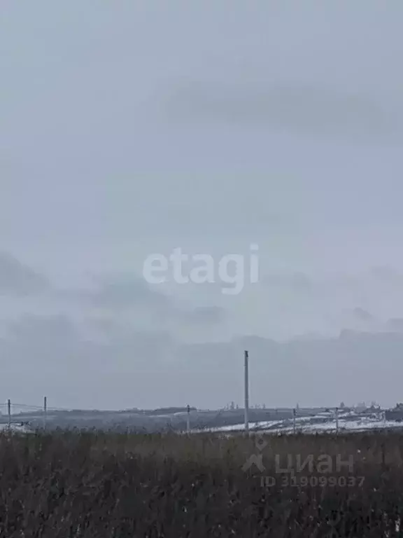 Участок в Белгородская область, Белгородский район, Головинское с/пос, ... - Фото 0