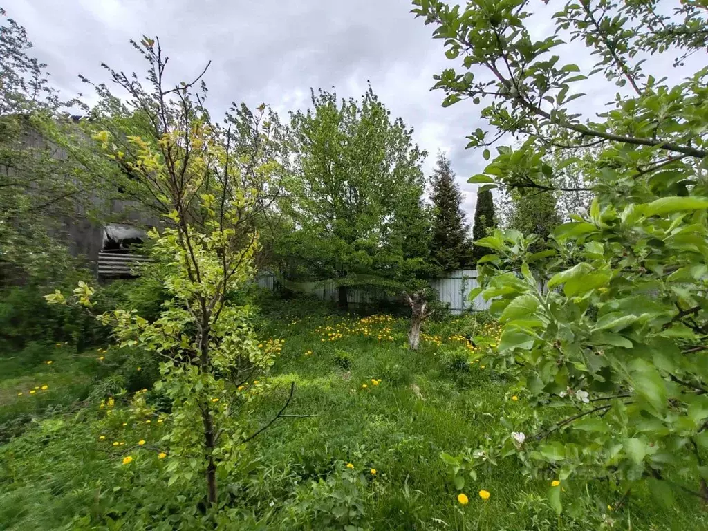 Участок в Московская область, Раменский муниципальный округ, с. ... - Фото 2