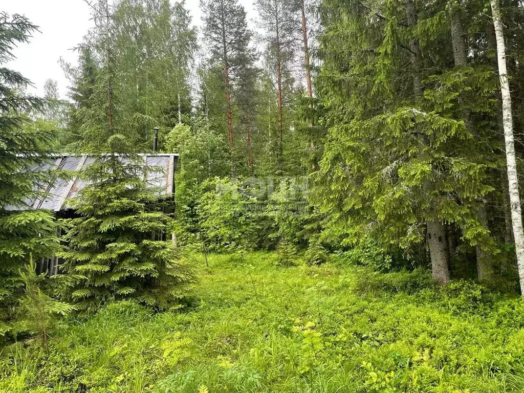 Участок в Деревянское сельское поселение, СНТ Заречье (15 м) - Фото 1