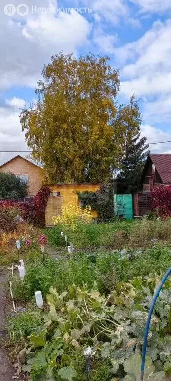 Дом в Новосибирск, садовое товарищество Новый Мир, 4-я улица (10 м) - Фото 0