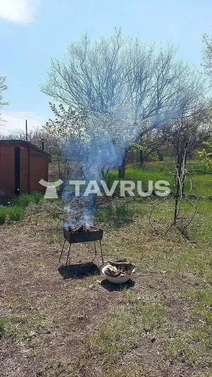 Участок в Крым, Симферопольский район, Урожайновское с/пос, Эдельвейс ... - Фото 1