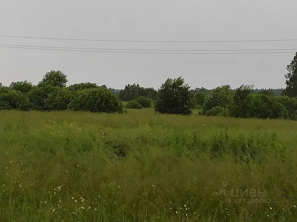 Участок в Московская область, Можайский муниципальный округ, д. ... - Фото 1