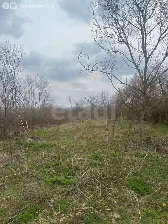 Участок в Майкопский район, Абадзехское сельское поселение, хутор ... - Фото 2