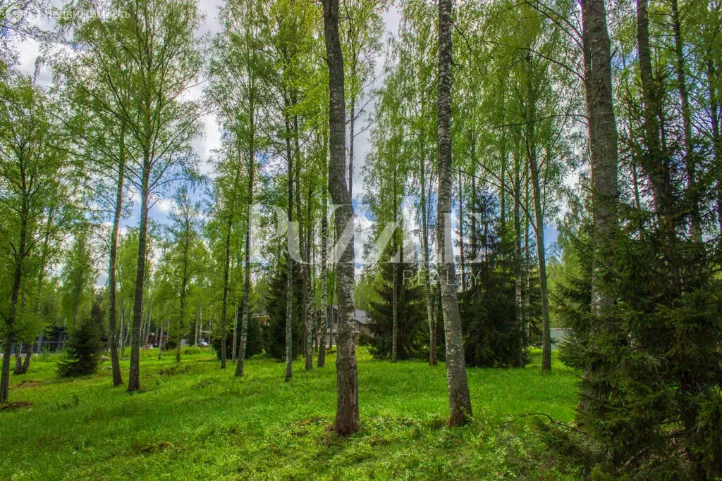 Участок в Петровское сельское поселение, коттеджный посёлок Сосны (20 ... - Фото 0