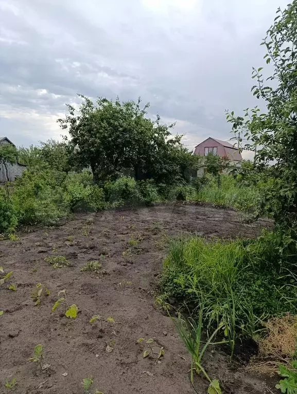 Дача 20 м на участке 5 сот. - Фото 0