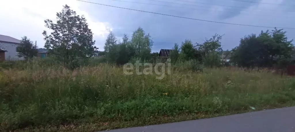 Участок в Селивановский район, село Малышево (12 м) - Фото 1