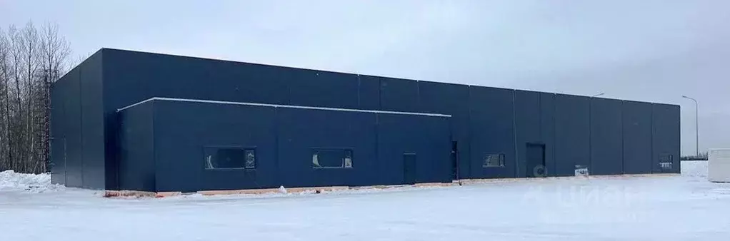 Помещение свободного назначения в Ленинградская область, Всеволожский ... - Фото 0