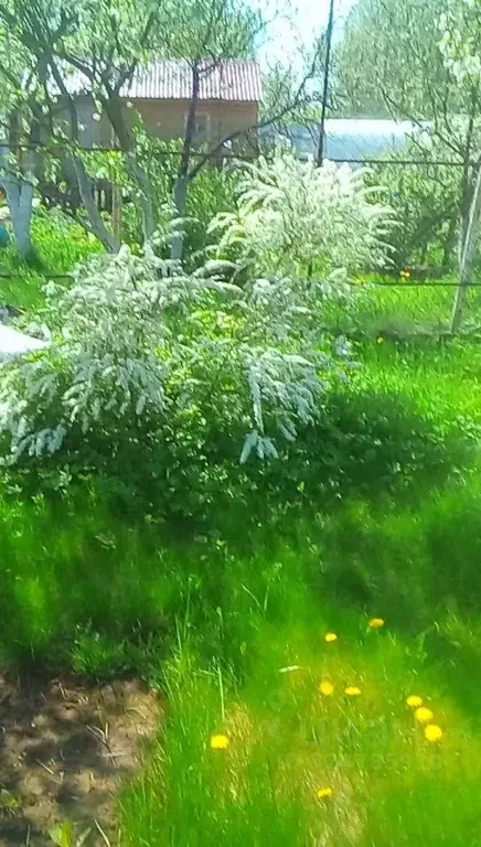 Участок в Московская область, Ногинск Богородский городской округ, ... - Фото 2