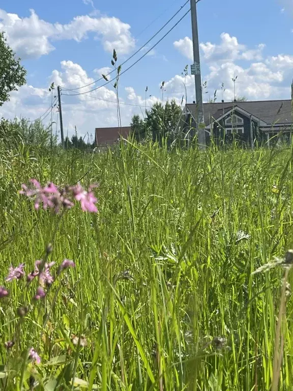 Участок в Московская область, Дмитровский муниципальный округ, с. ... - Фото 1