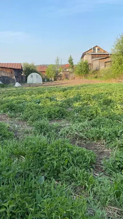Участок в Свердловская область, Арти пгт ул. Карла Маркса (10.0 сот.) - Фото 1