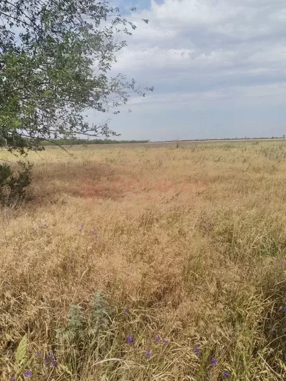 Участок в Ростовская область, Новочеркасск Троицкая пл. (6.0 сот.) - Фото 0