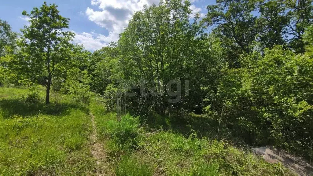 Участок в Краснодарский край, Геленджик городской округ, Широкая Щель ... - Фото 1