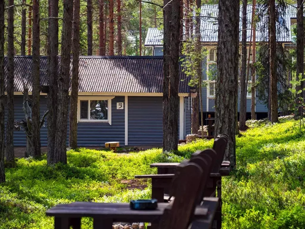 Дом в Карелия, Калевала пгт ул. Вяйнямейнена, 136 (45 м) - Фото 1