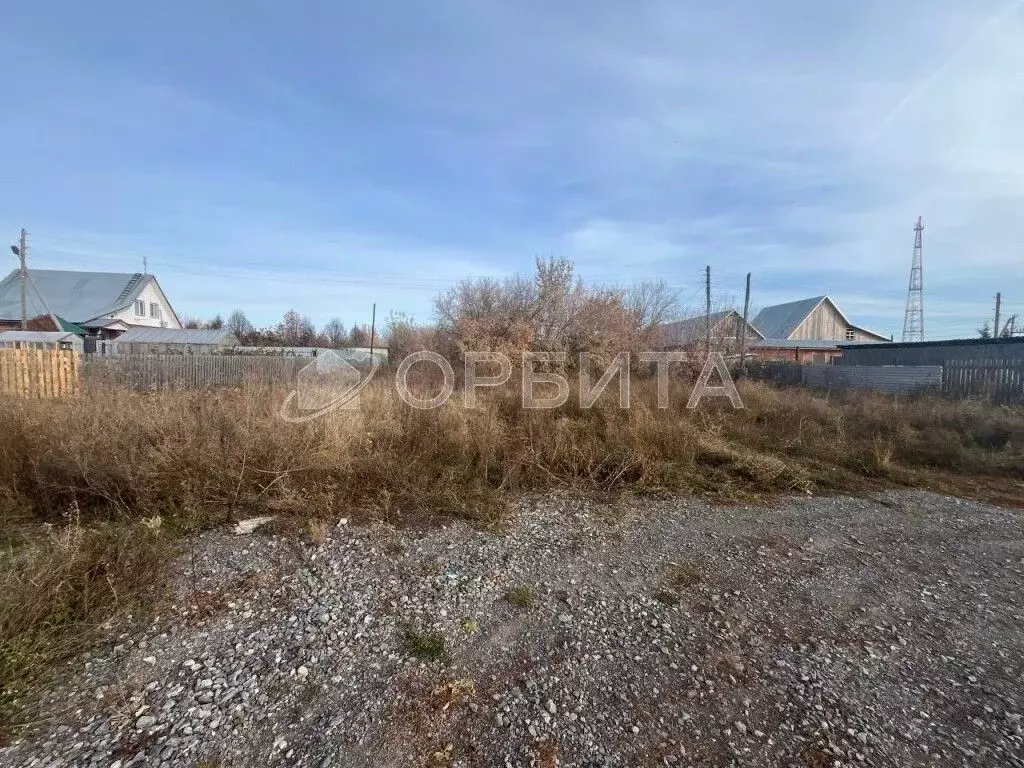 Участок в Тюменская область, Исетский муниципальный округ, с. Шорохово ... - Фото 1